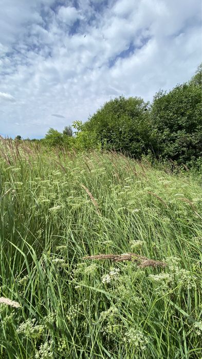Мазанка + Ділянка 51сот. біля води, Обухів р-н. с. Красне Перше