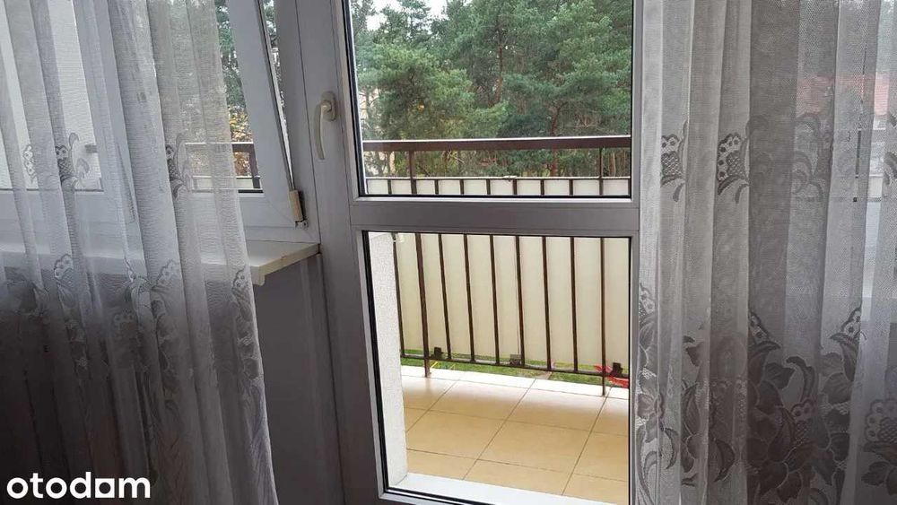 Wynajmę M3 winda balkon las autobus/tramwaj