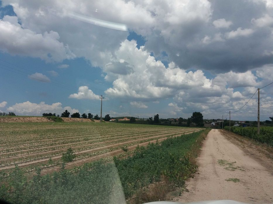 Vende-se terreno de 20000m2 em Paço dos Negros - Almeirim