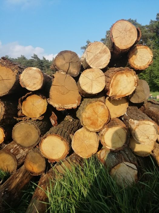 SUCHE drewno opałowe RÓŻNE!