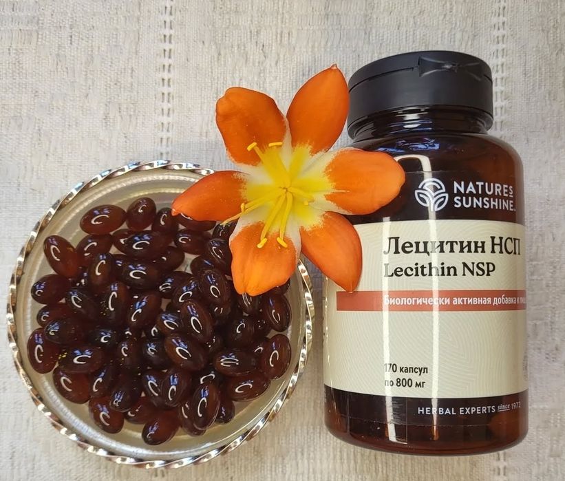Лецитин (Lecithin) NSP