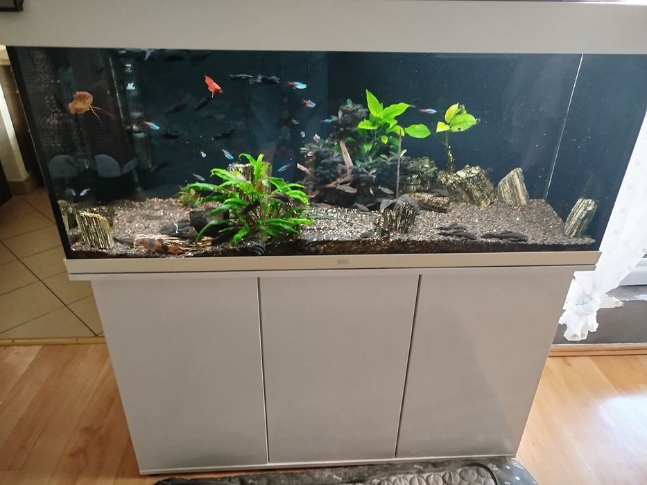 Akwarium Juwel 240 l