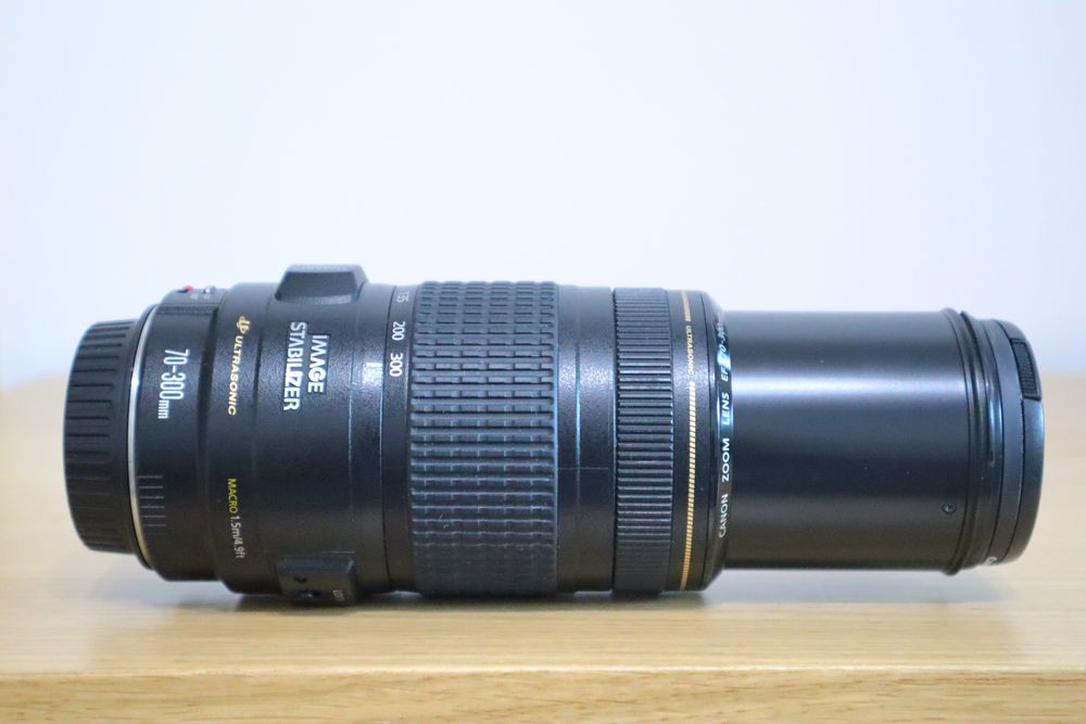 Canon EF 70-300mm f/4-5.6 IS USM