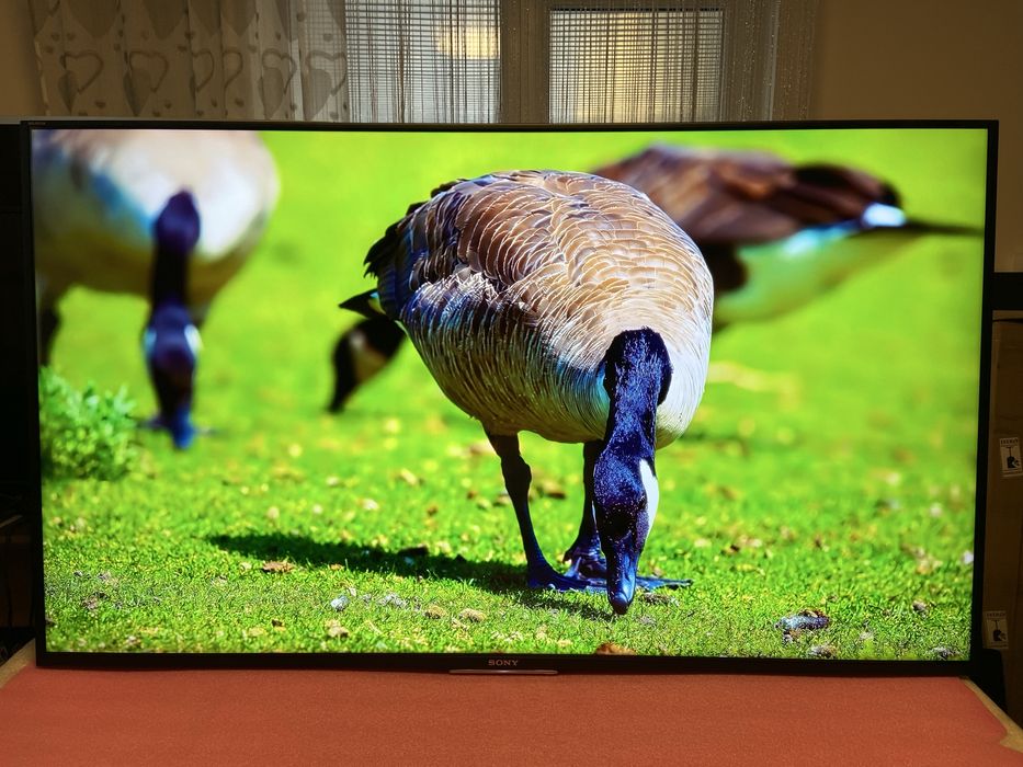 Телевізор Sony KD-55X8505C AndroidTV/120Гц/Premium