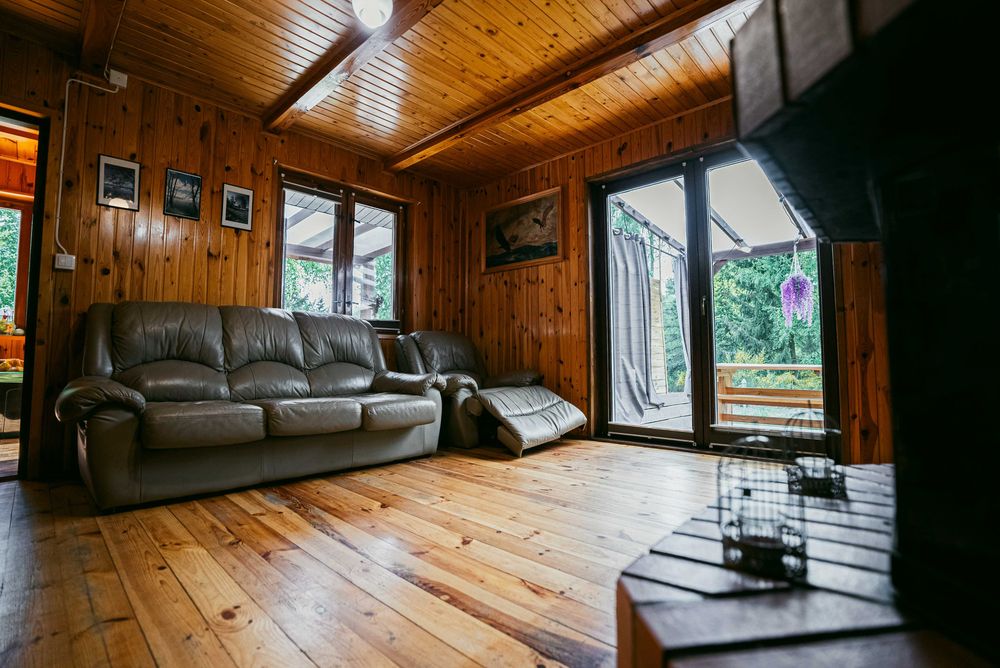 Zacisze leśne Julianka