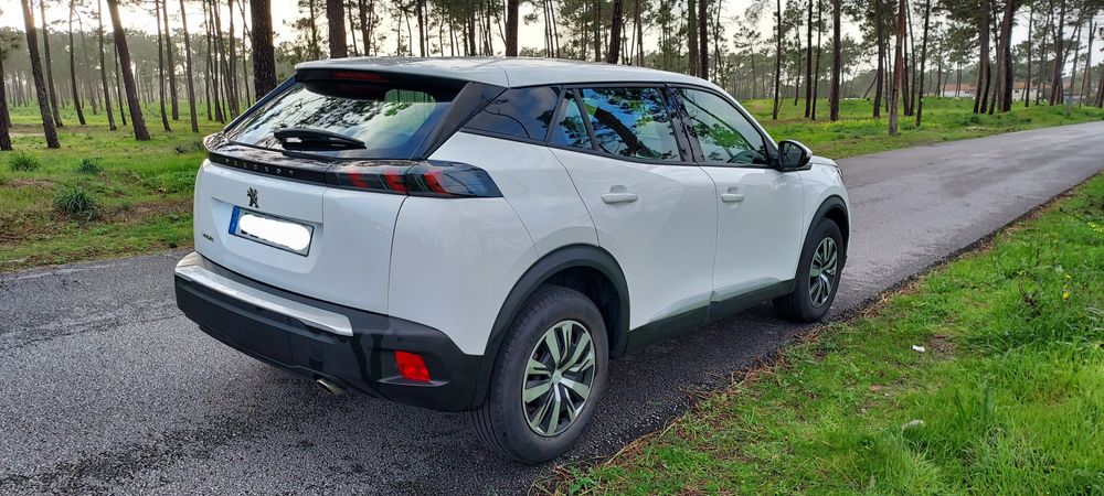 Peugeot 2008 1.5 blue Hdi