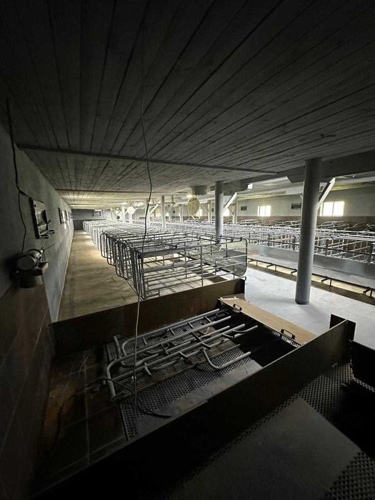 Ферма, господарські будівлі та споруди