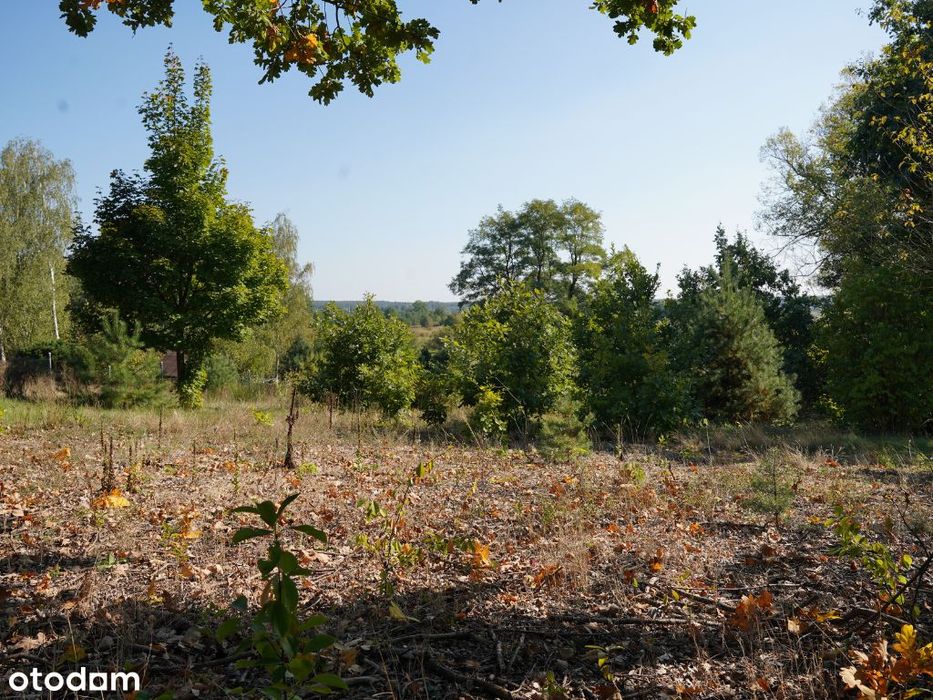 Wyjątkowa działka widokowa 2800 m²|Dolina Radomki|PuszczaKozienicka|WZ - Widok 5