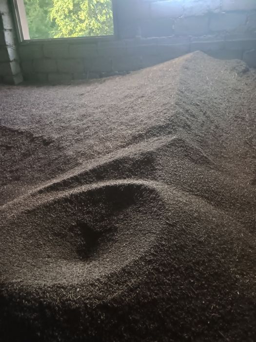 Sprzedam owies czarny