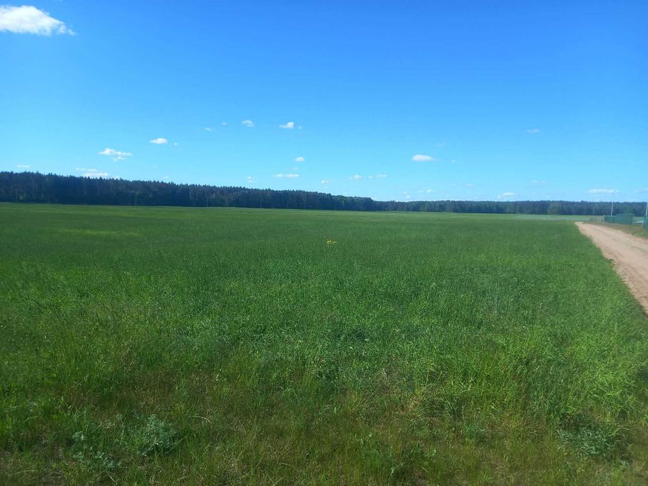 działka rolno-budowlana