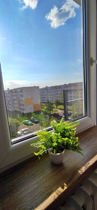Wynajmę ładne mieszkanie w Rudzie Śląskiej  Bykowinie - Widok 4