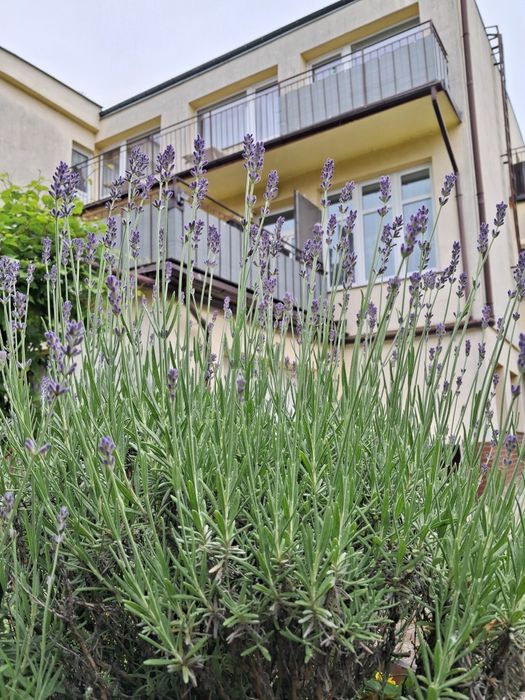 Pokoje dwuosobowe Ustka