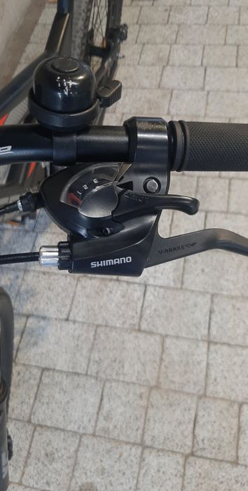 Rower Licorne Strong 29"