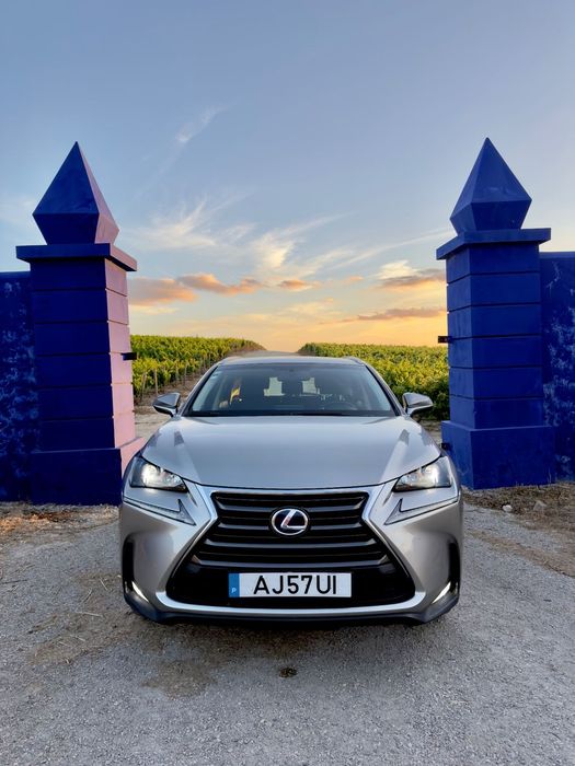 Lexus NX 300h