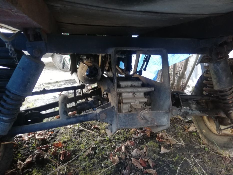 Муравей в доброму стані