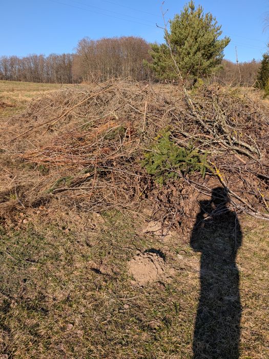 Gałęzie chrust na opał