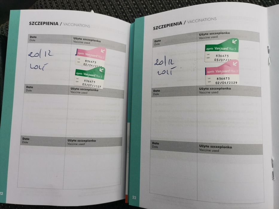 Oddam pieski w dobre ręce