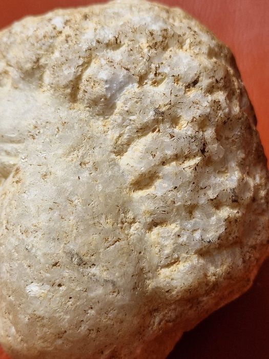 Cabeça Votiva Romana