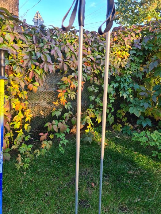 Kijki narciarskie 125