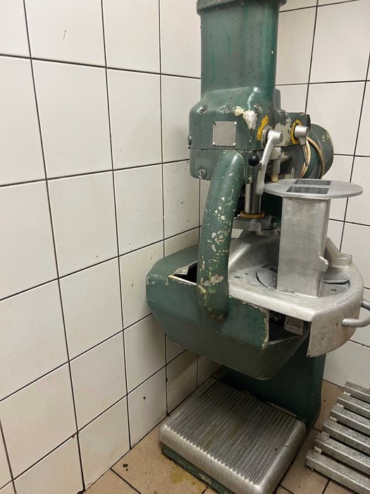 kostkowinica treif