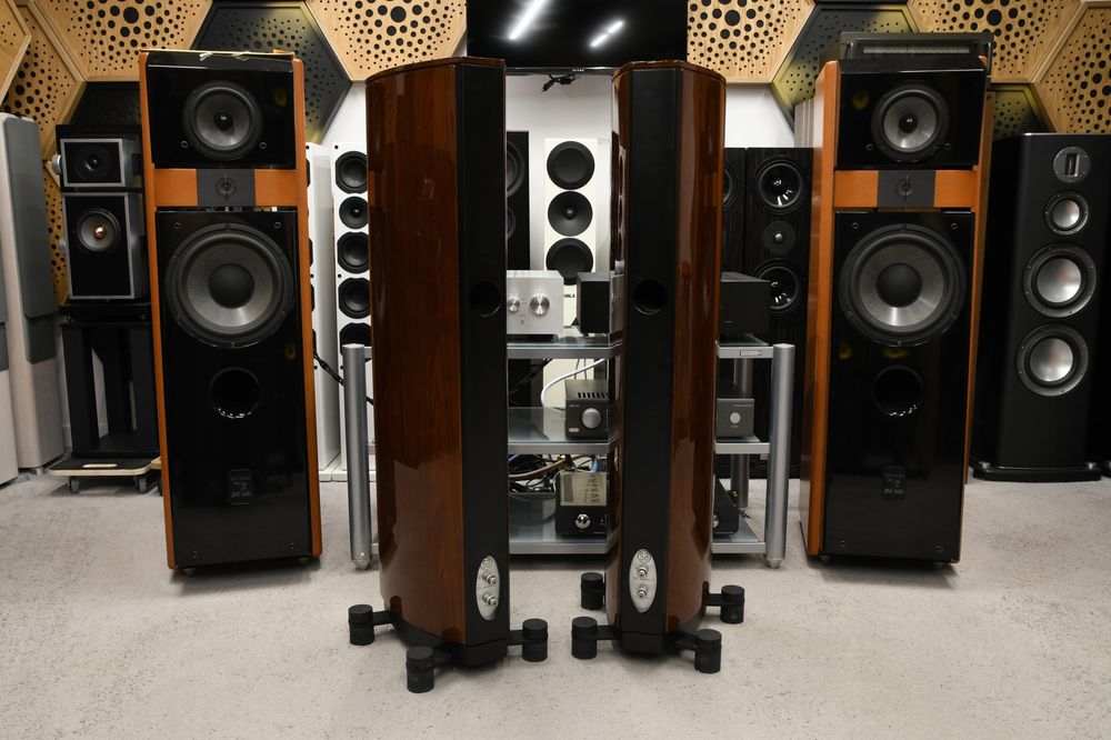 Kolumny Głośnikowe podłogowe stereo kolumny System Audio Pandion 20