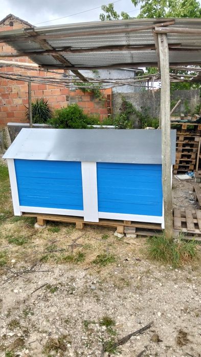 Casota XXL com jardim