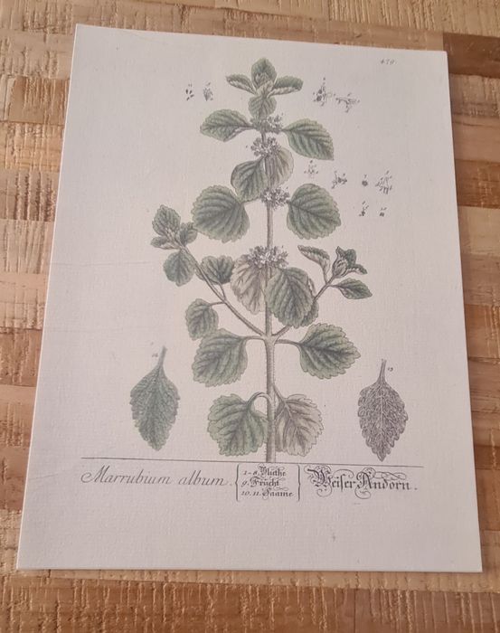 Vendo conjunto de gravuras.