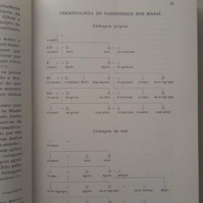 Sistemas Políticos Africanos de Parentesmo e Família.