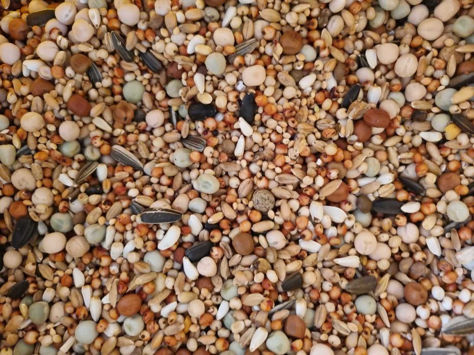 Mieszanka odchowowa dla młodych gołębi 25 kg JO