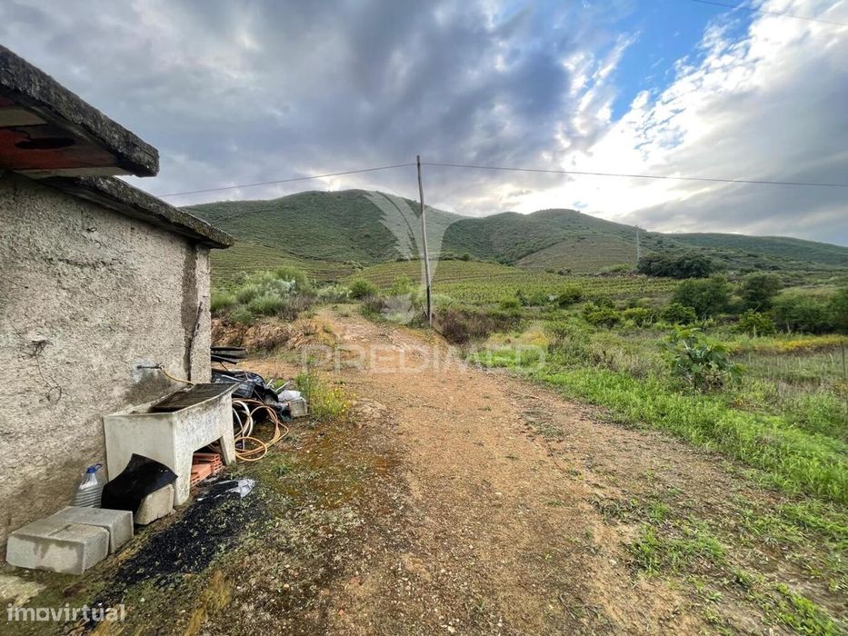 Quinta Agrícola com 2,3 Hectares em Murça | Vila Nova de Foz Côa