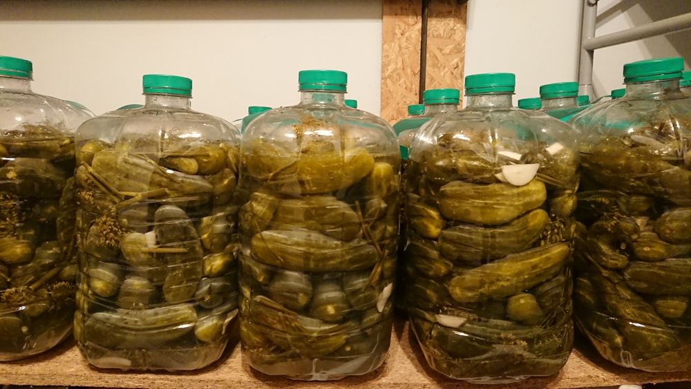 Ogórki kiszone butelki 5L (przesyłka OLX)
