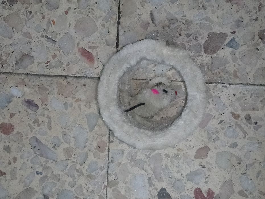 Brinquedos para gatos