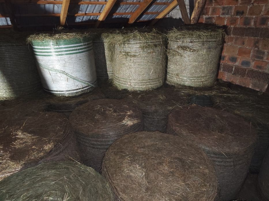Sprzedam siano spod dachu