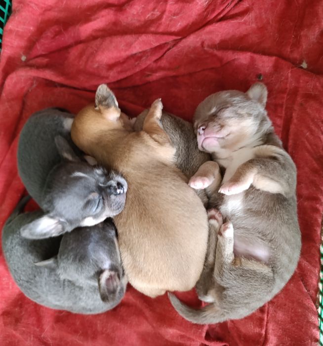 Можна придивитись до наших малюків