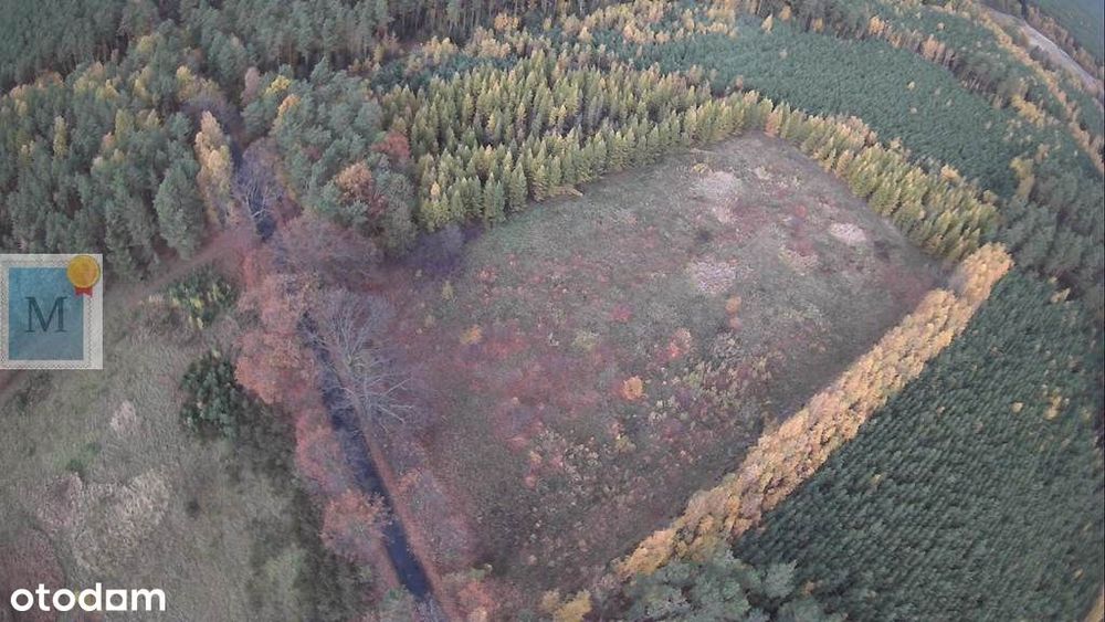Działka,wieś Sterków,pod zabudowę 40ar,asfalt