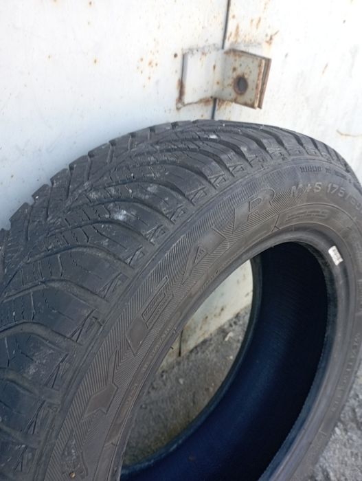 Зимова гума 175/65r14
