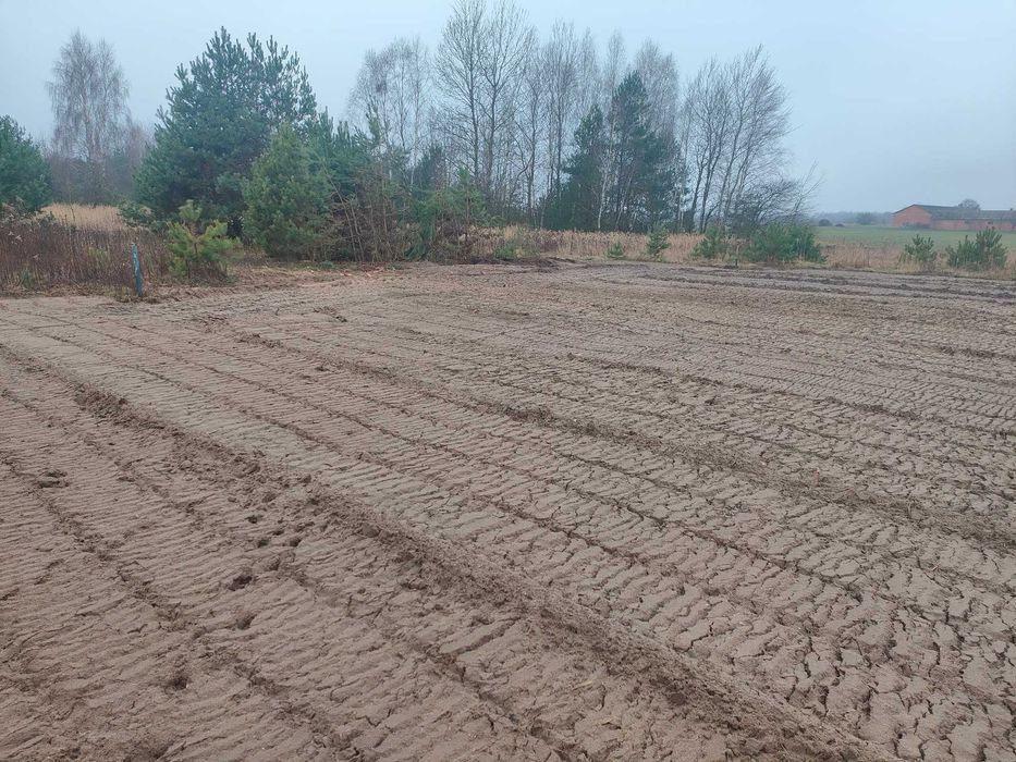 Zdjęcie 6