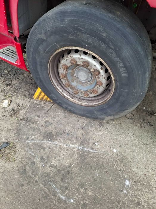 Piasta kola daf 105