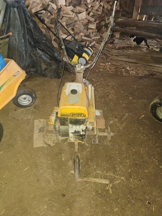 Glebogryzarka Ginge 5 HP Briggs&stratton