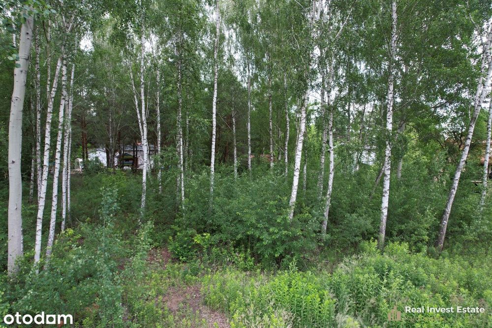 Zdjęcie 2
