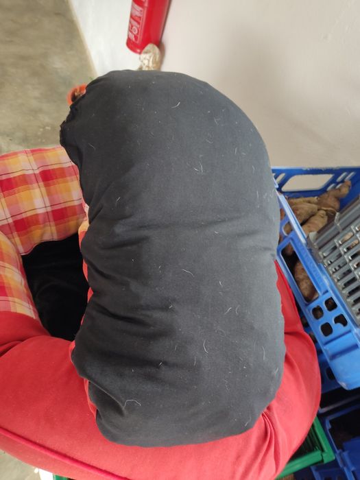 Cama para cão porte pequeno / médio