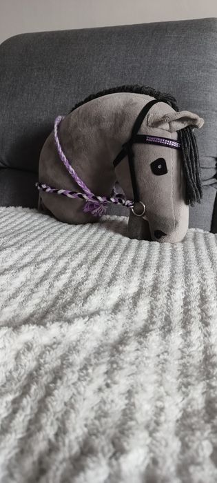 Hobby horse(koń na kiju)