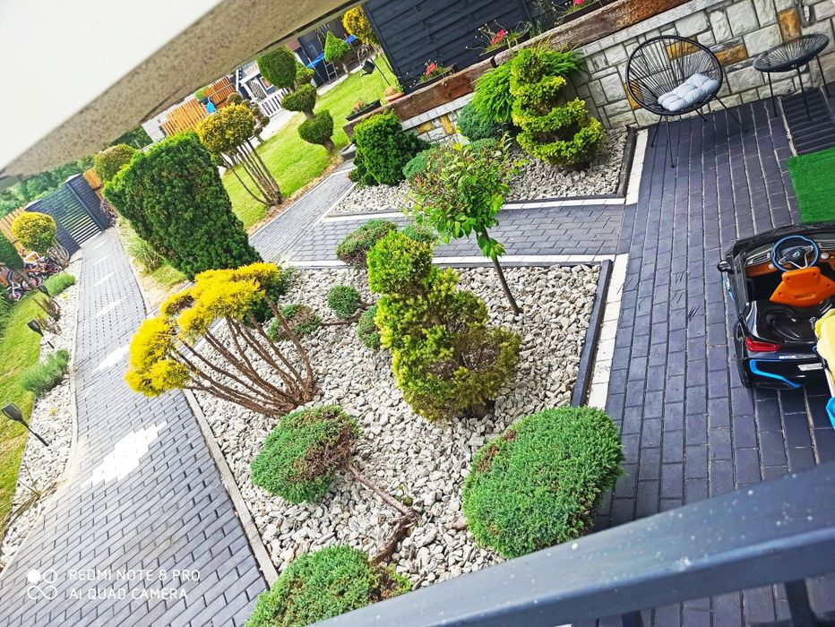 Apartamencik za lasem Krynica- Zdrój