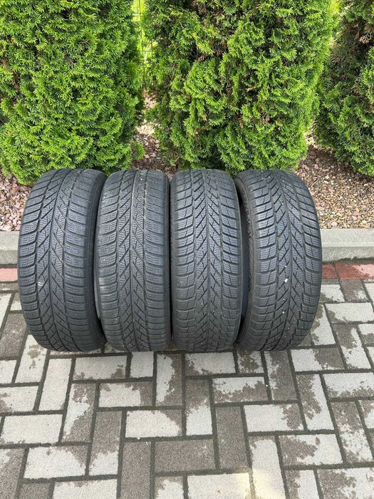 Шини 195/55 R16 87H Gislaved Euro Frost 5