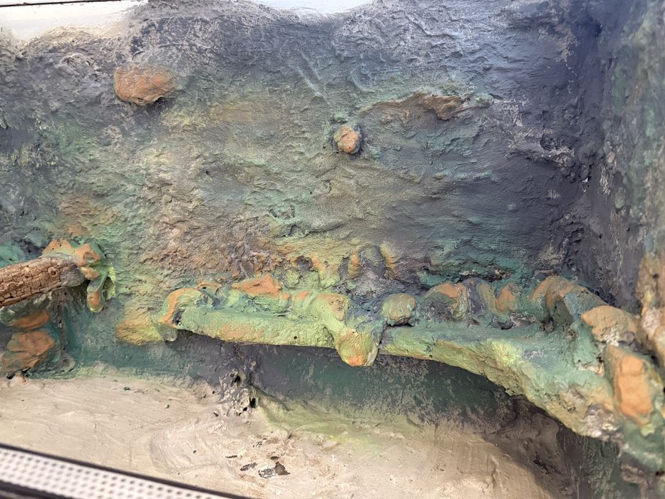 Terrarium dla jaszczurki/ sprzedam lub zamienie