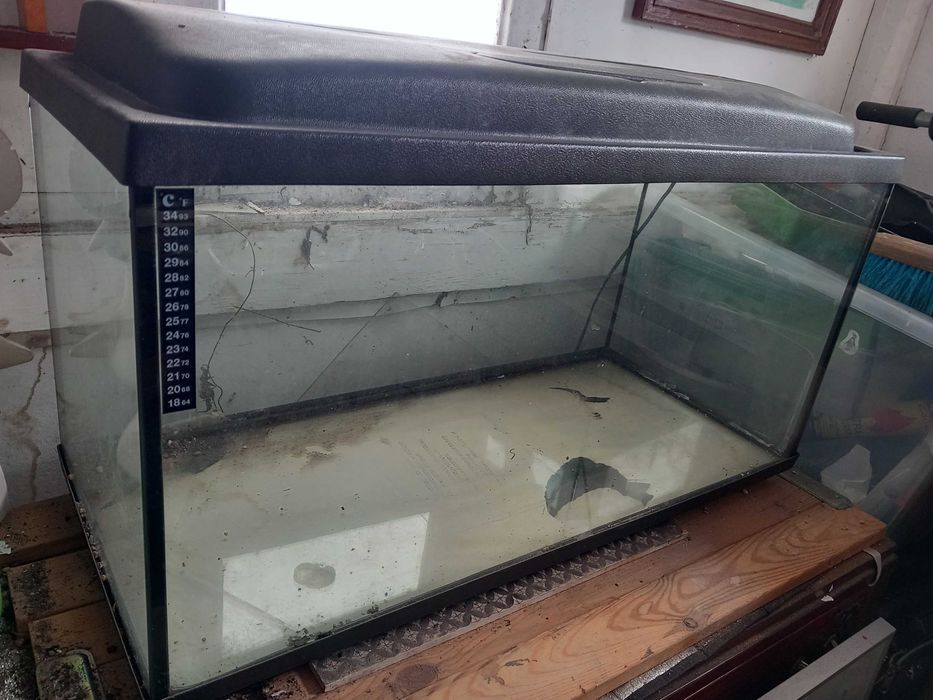 Aquario para répteis