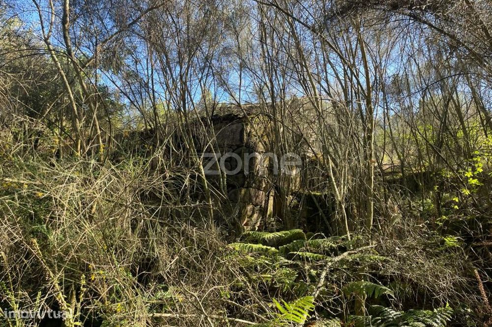 Terreno com 7.7 ha e três ruínas em Britelo, Ponte da Barca