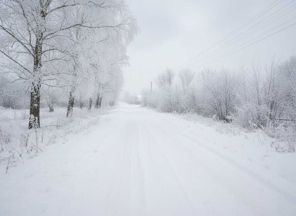 Продаж ділянки 25сот під забудову. Поряд озеро. Біля лісосмуги. ID:405