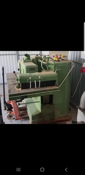 Wielopiła gąsiennicowa Niemiecka