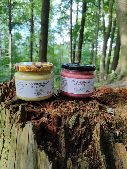 Miód wielokwiatowy z dodatkiem owoców